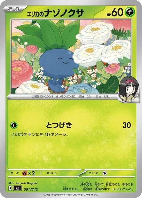 1-erikasoddish