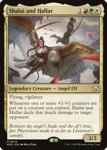 10-shalaiandhallar