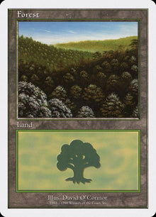 101-forest