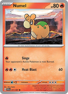 11-numel