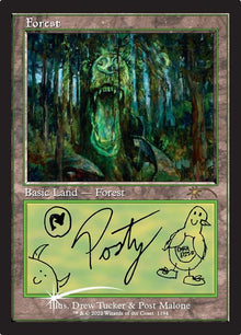 1194-forest
