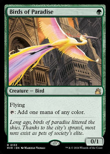 133-birdsofparadise