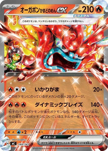 149-hearthflamemaskogerponex