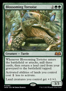 163-blossomingtortoise