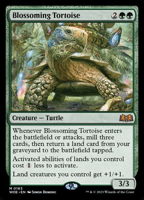 163p-blossomingtortoise
