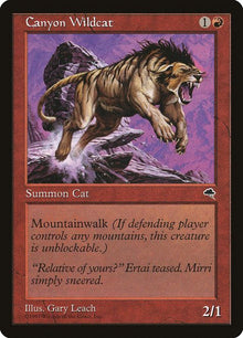 167-canyonwildcat