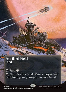 167-petrifiedfield