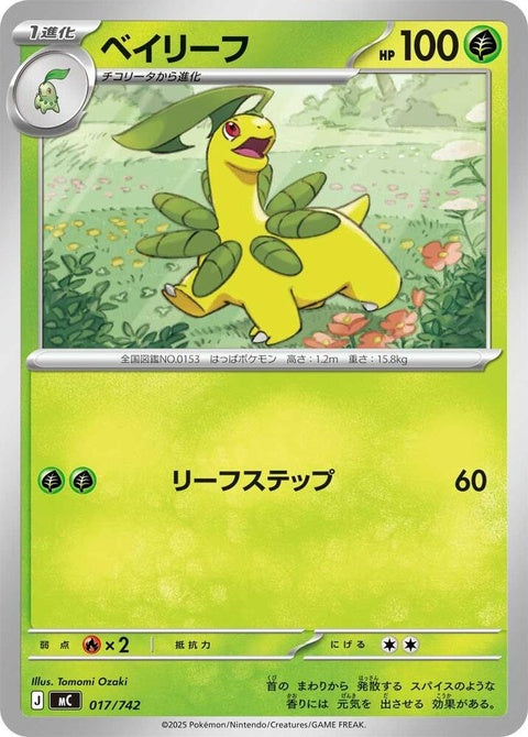17-bayleef