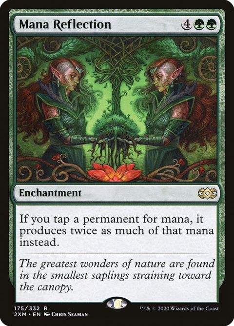 175-manareflection