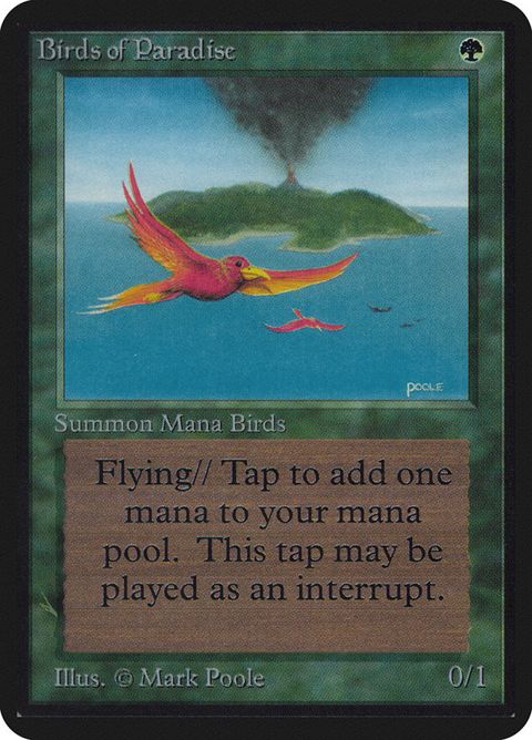 186-birdsofparadise