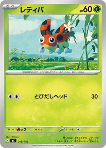 19-ledyba