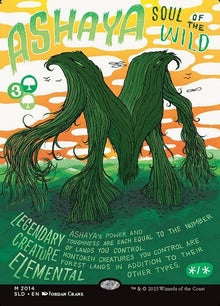 2014-ashayasoulofthewild