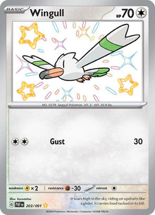 203-wingull