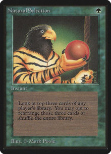 213-naturalselection