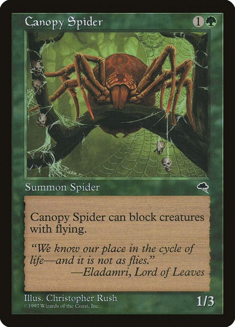 217-canopyspider