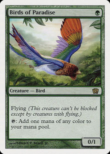 233-birdsofparadise