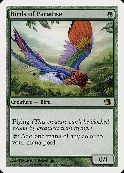 233-birdsofparadise