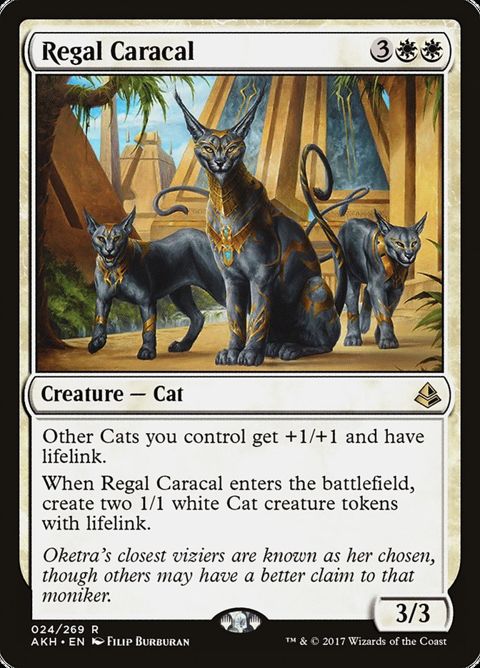 24-regalcaracal
