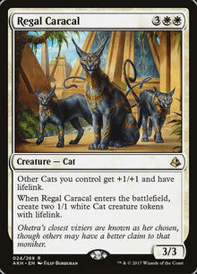24-regalcaracal