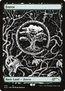 243-forest