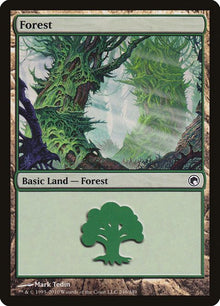 246-forest