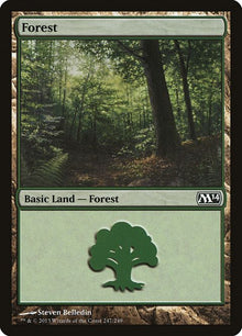 247-forest