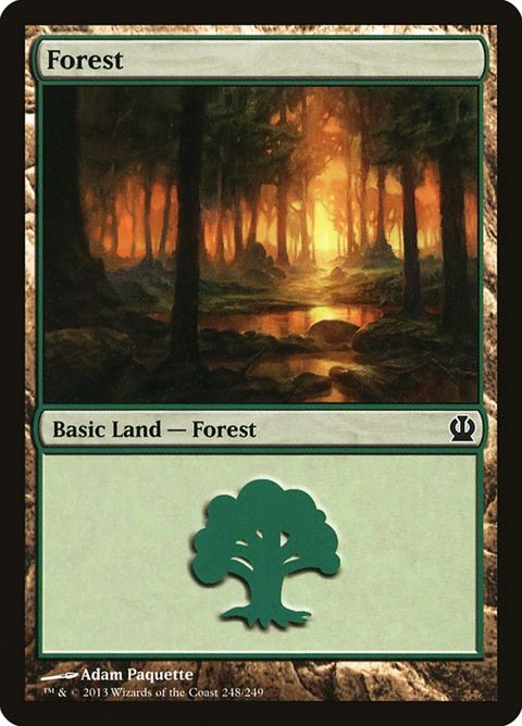 248-forest