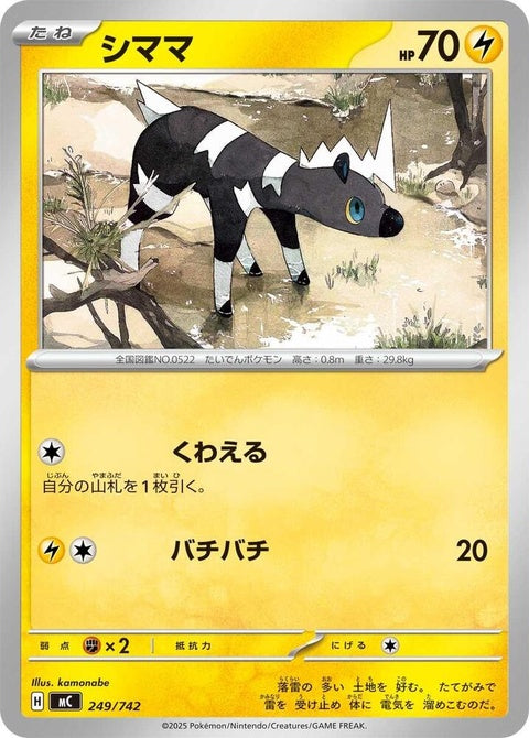 249-blitzle
