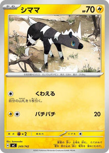249-blitzle