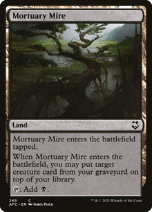 249-mortuarymire
