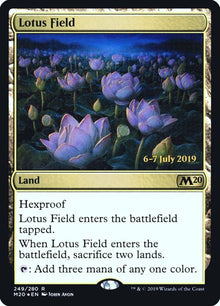 249s-lotusfield