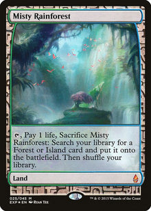 25-mistyrainforest