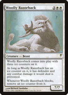 25-woollyrazorback
