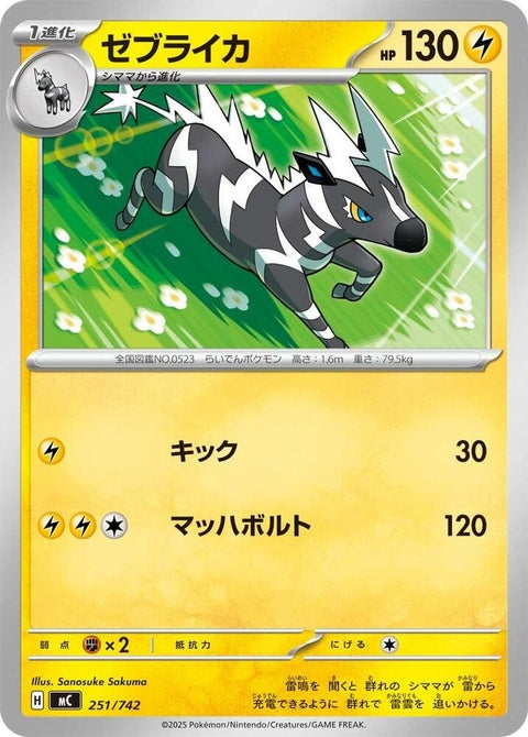 251-zebstrika