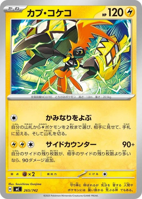 265-tapukoko