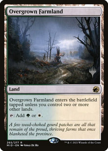 265p-overgrownfarmland