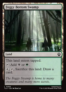 269-foggybottomswamp