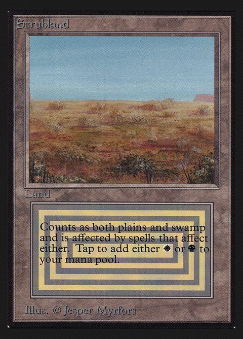 282-scrubland