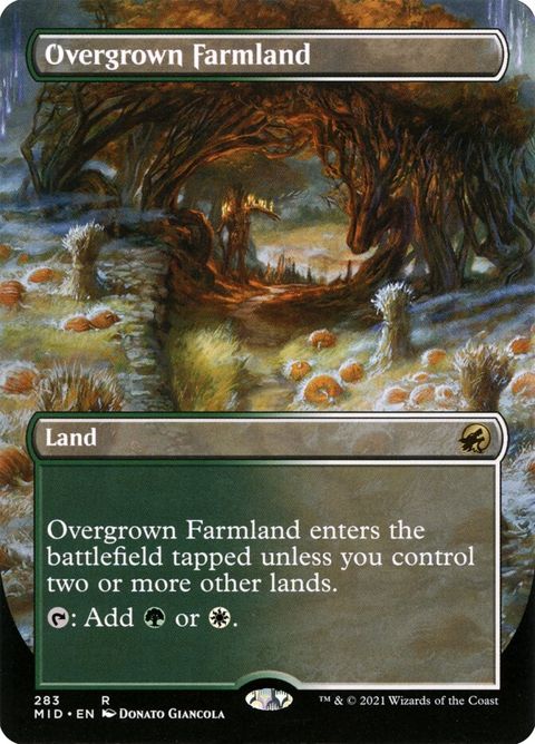 283-overgrownfarmland