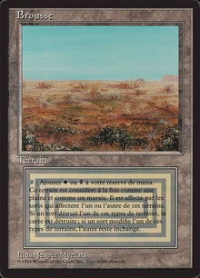 286-scrubland