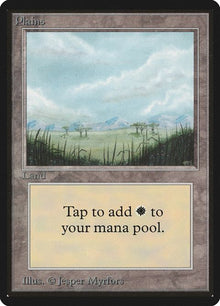 289-plains