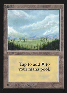 289-plains