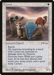 3-camel