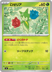 30-roselia