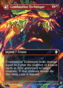 301-combustiontechnique