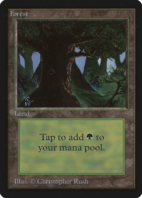 302-forest
