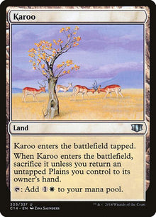 303-karoo