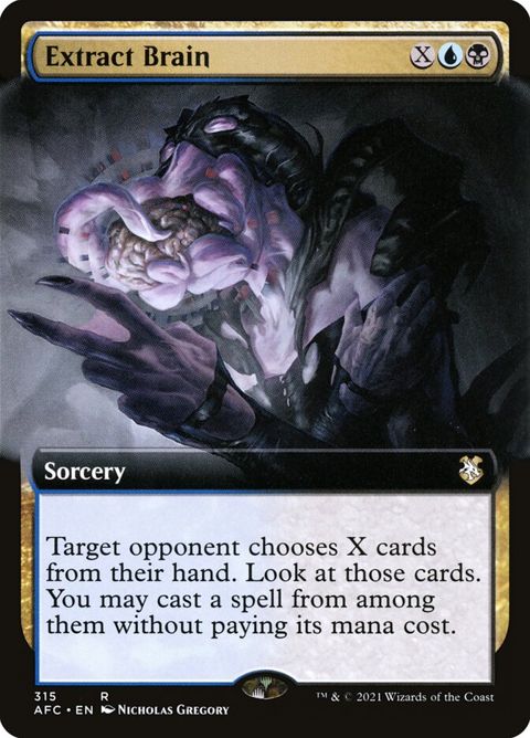 315-extractbrain