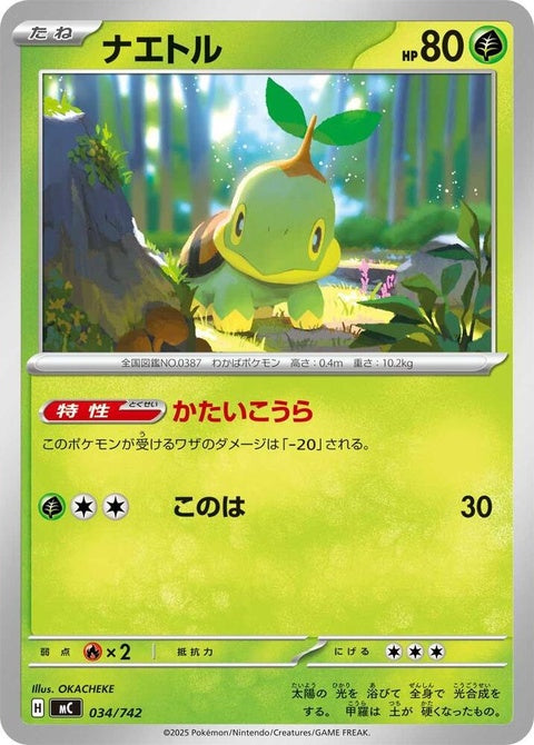 34-turtwig