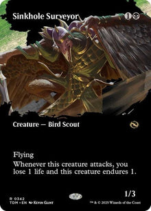 342-sinkholesurveyor